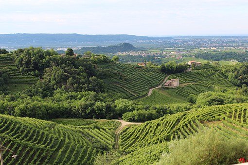 Heroic Viticulture, a new law decree opens applications