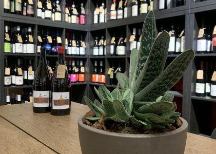 Flor, your place for natural wines in Verona