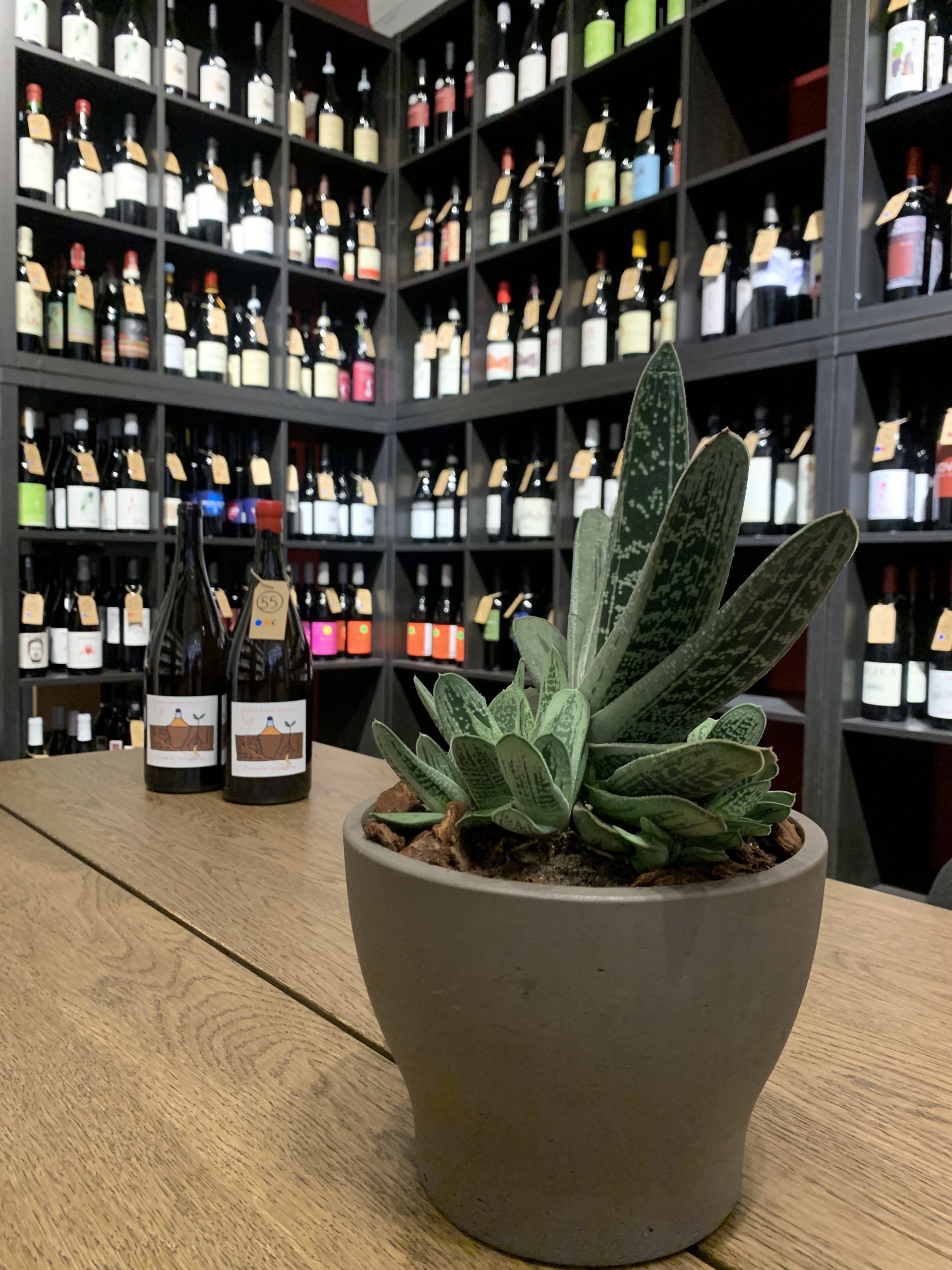 Flor, your place for natural wines in Verona