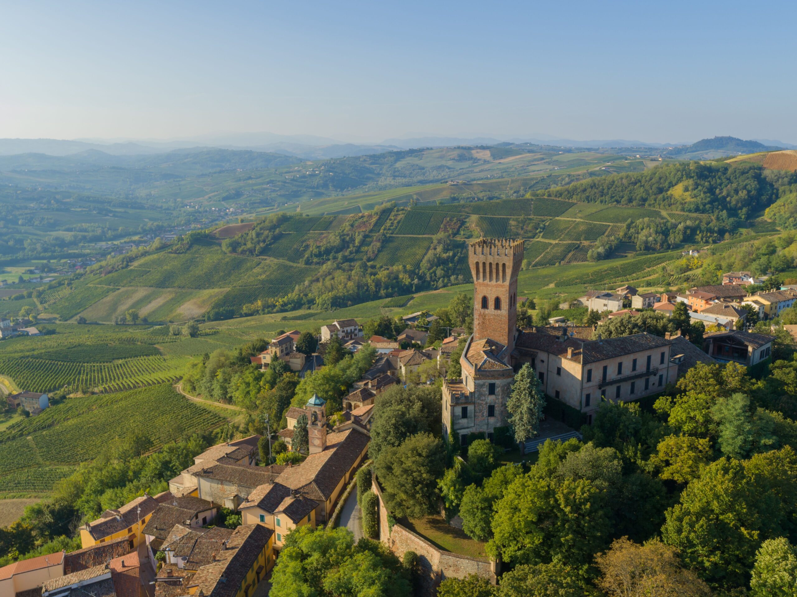 Castello di Cigognola, where Pinot Noir is King