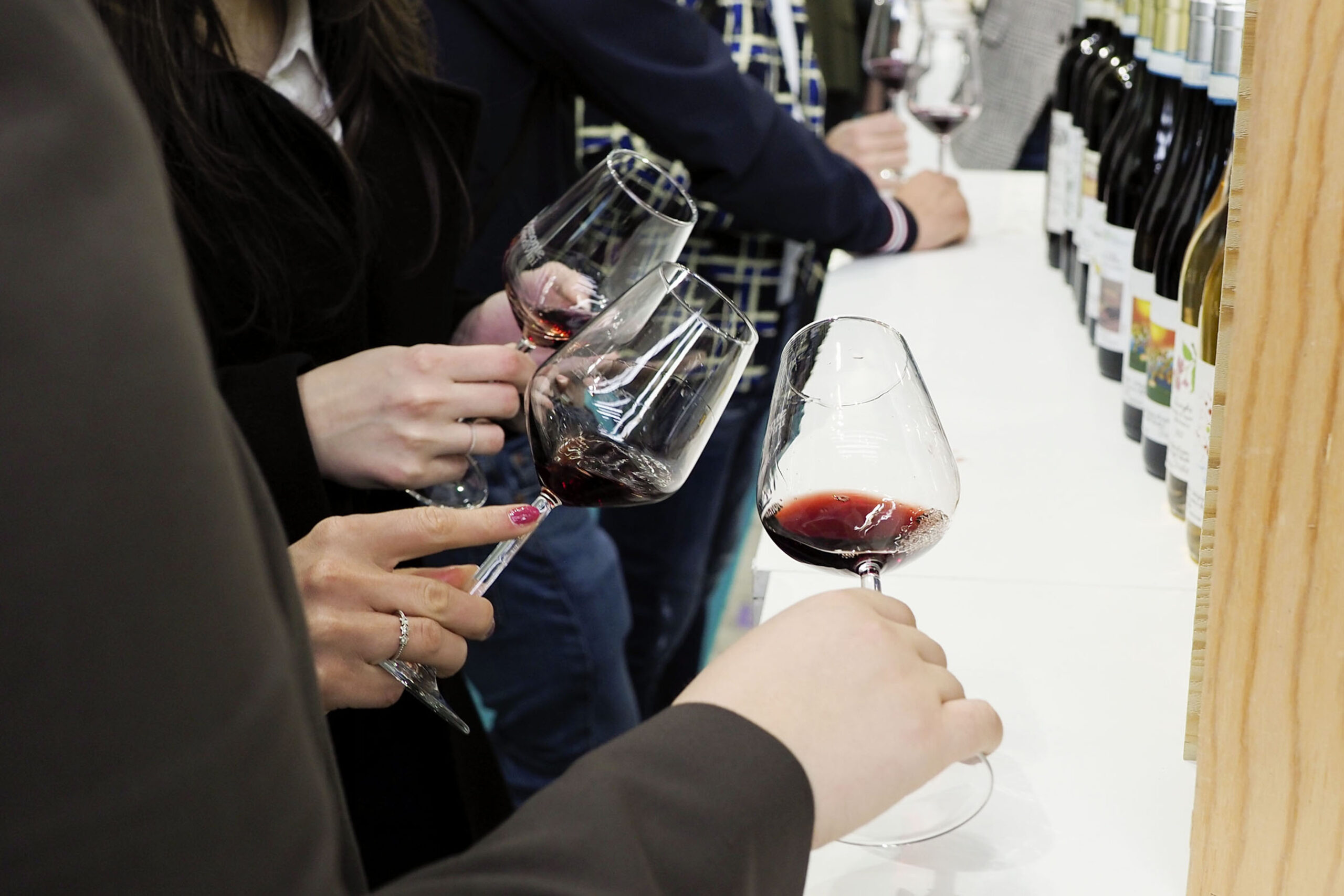 Vines that resist: revolutionary PIWI wines triumph at the 55°Vinitaly