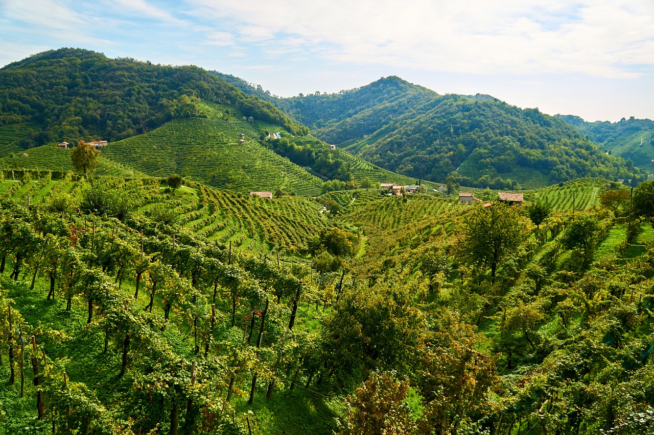 4 days walking the 51 km of “Cammino delle Colline del Prosecco”