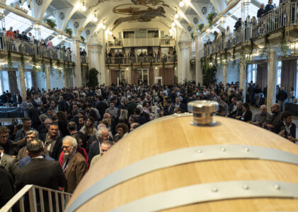 Merano Wine Festival 2023: A Call for Sustainability